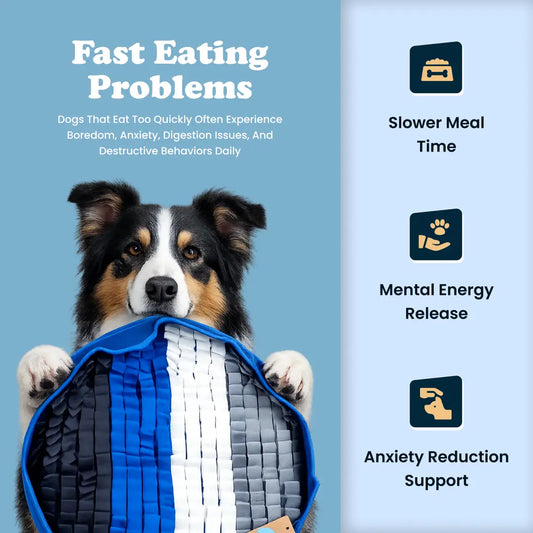 Smart Snuffle Mat for Dogs - Engage Your Pet's Senses and Stimulate Their Mind.