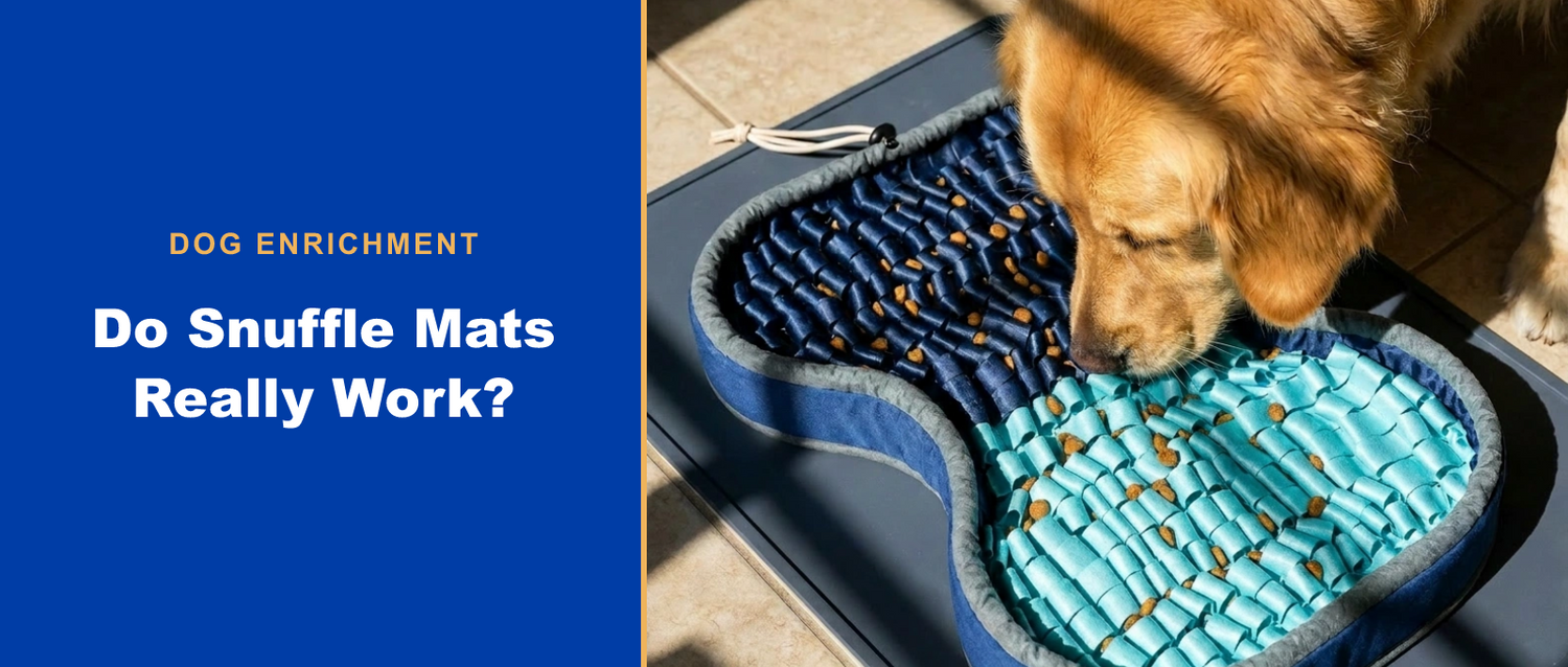 Do snuffle mats really work for dogs?