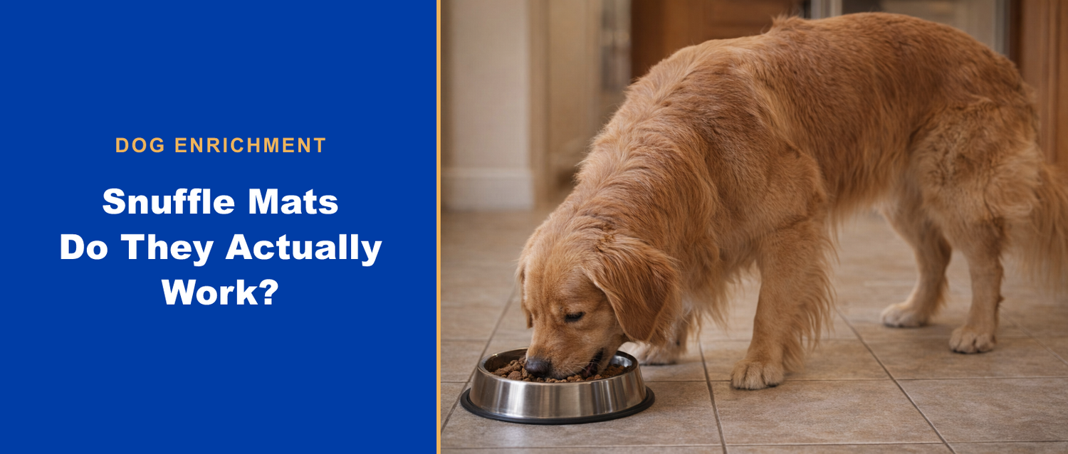 Golden retriever foraging — do snuffle mats work for dogs