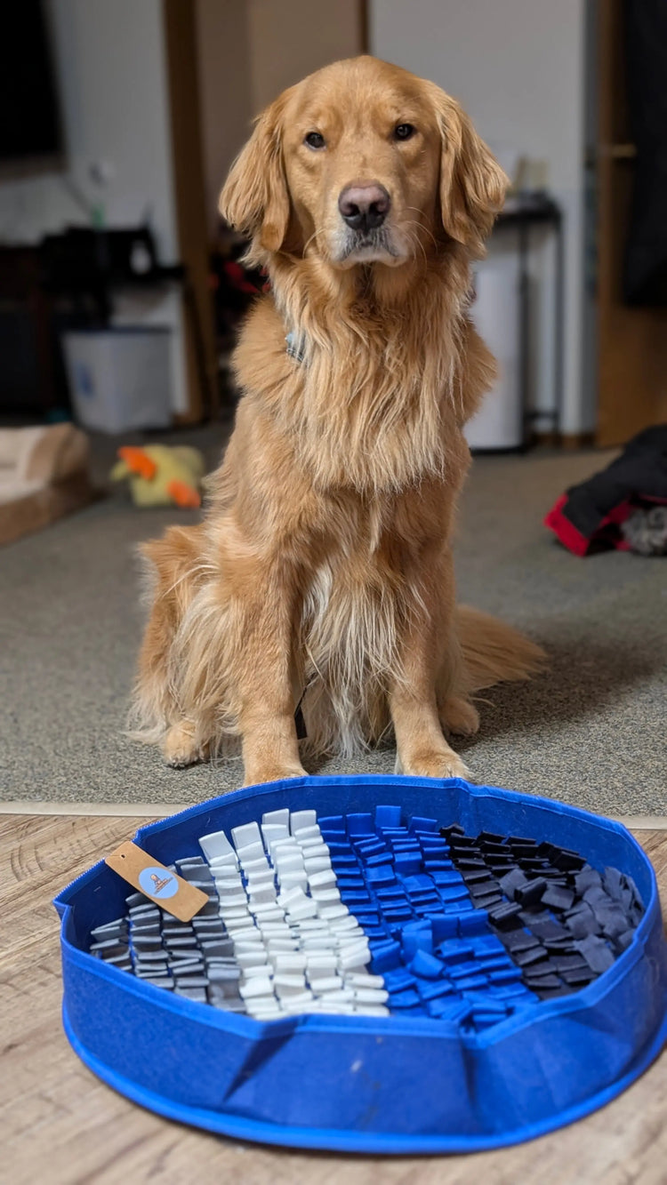 Snuffle Mats - PuzzlePup