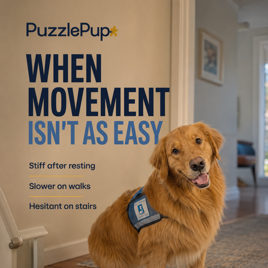 Dog Hip & Joint Soft Chews – Mobility & Joint Support