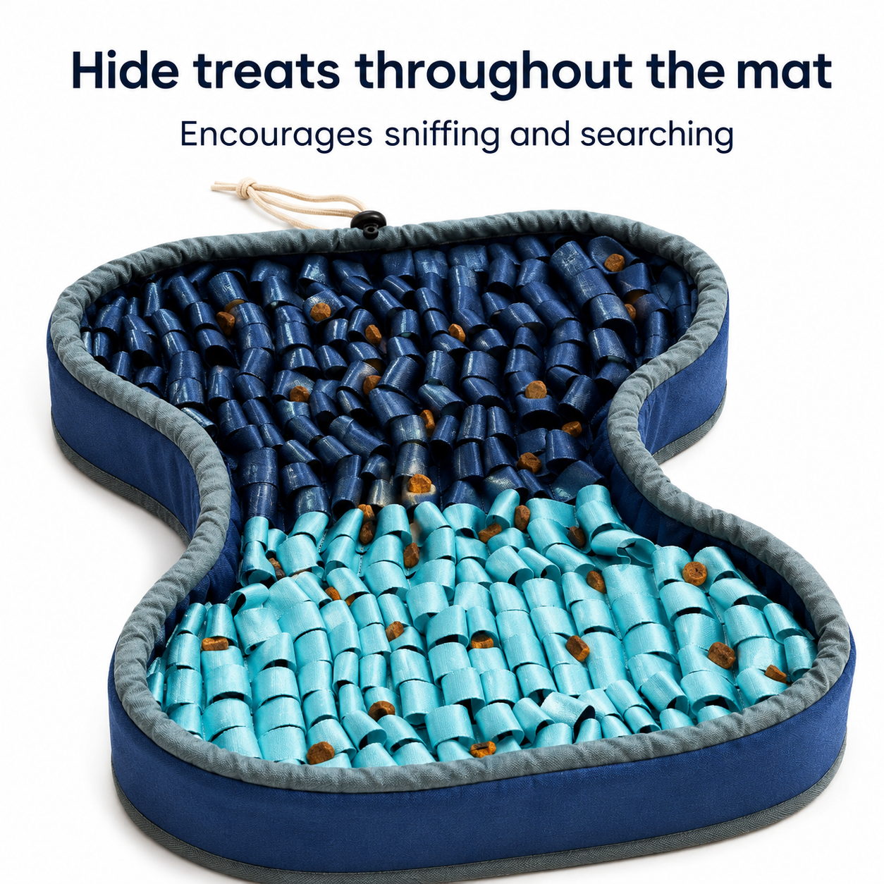 Blue and green pet mat with treats hidden inside, encouraging sniffing and searching.