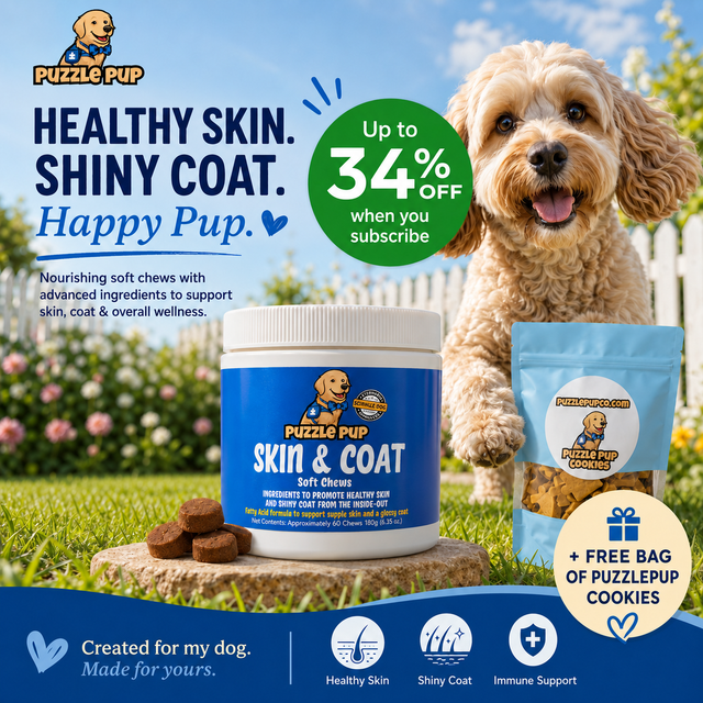 Dog Skin & Coat Soft Chews – Healthy Skin & Shiny Coat