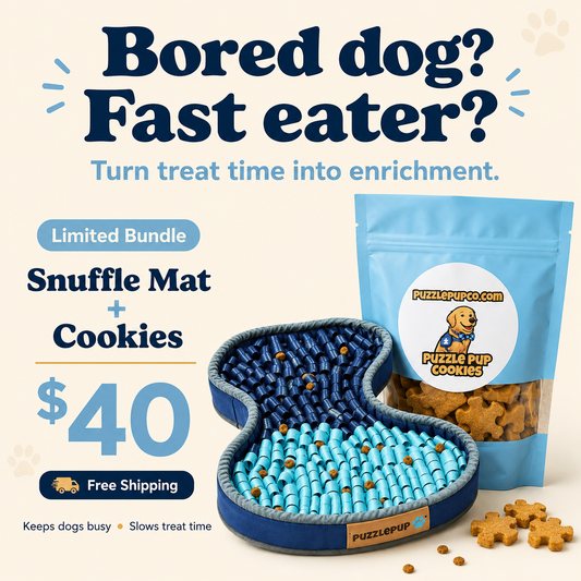 PuzzlePup Enrichment Bundle — snuffle mat plus a bag of handmade pumpkin peanut butter dog treats