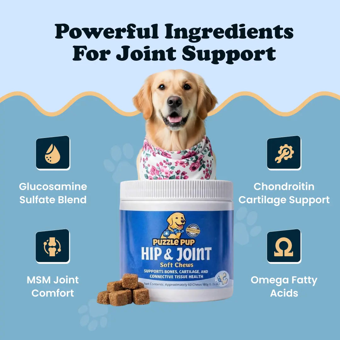 Dog Hip and Joint Chews. Enhanced Dog Health and Mobility.