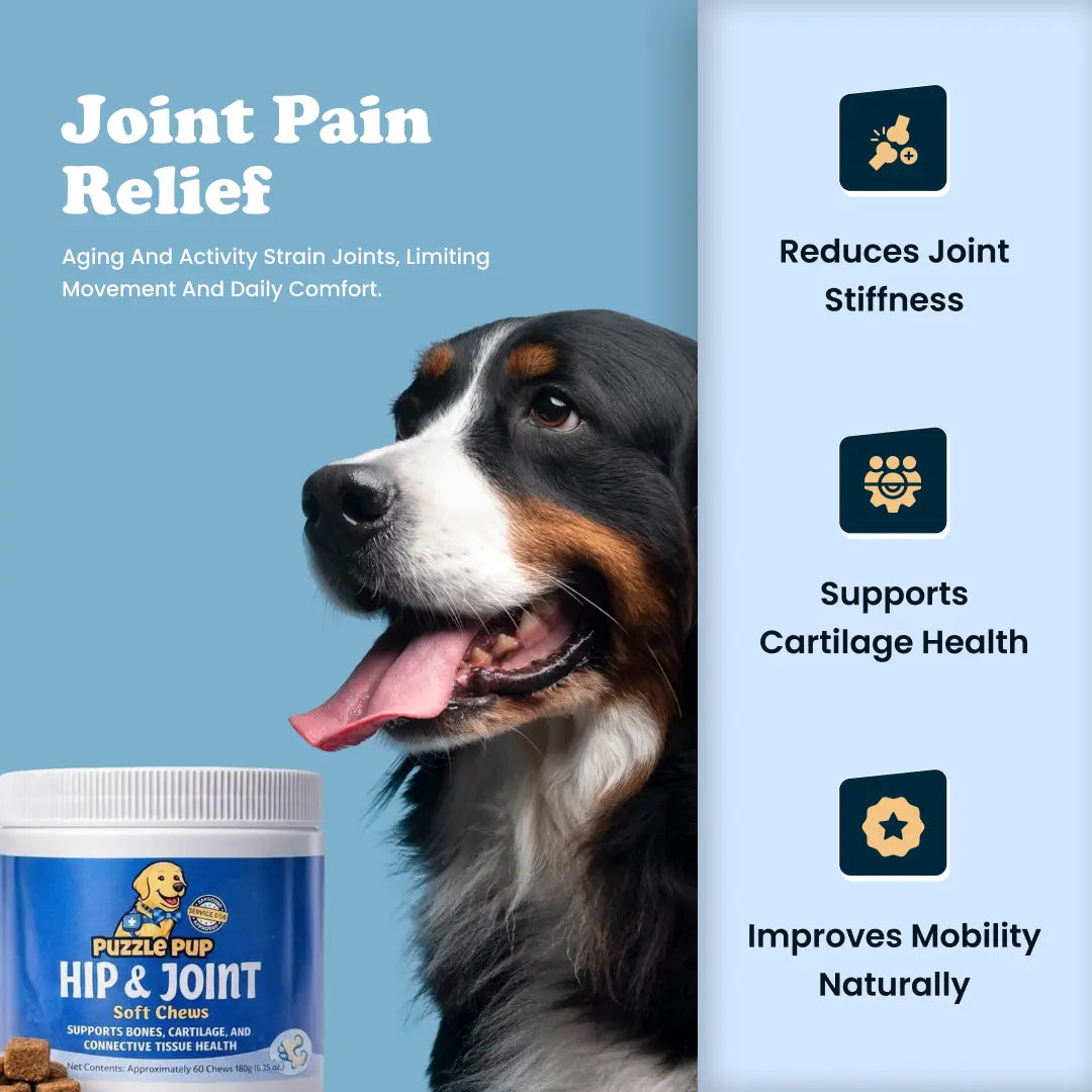 Dog Hip and Joint Chews. Enhanced Dog Health and Mobility.