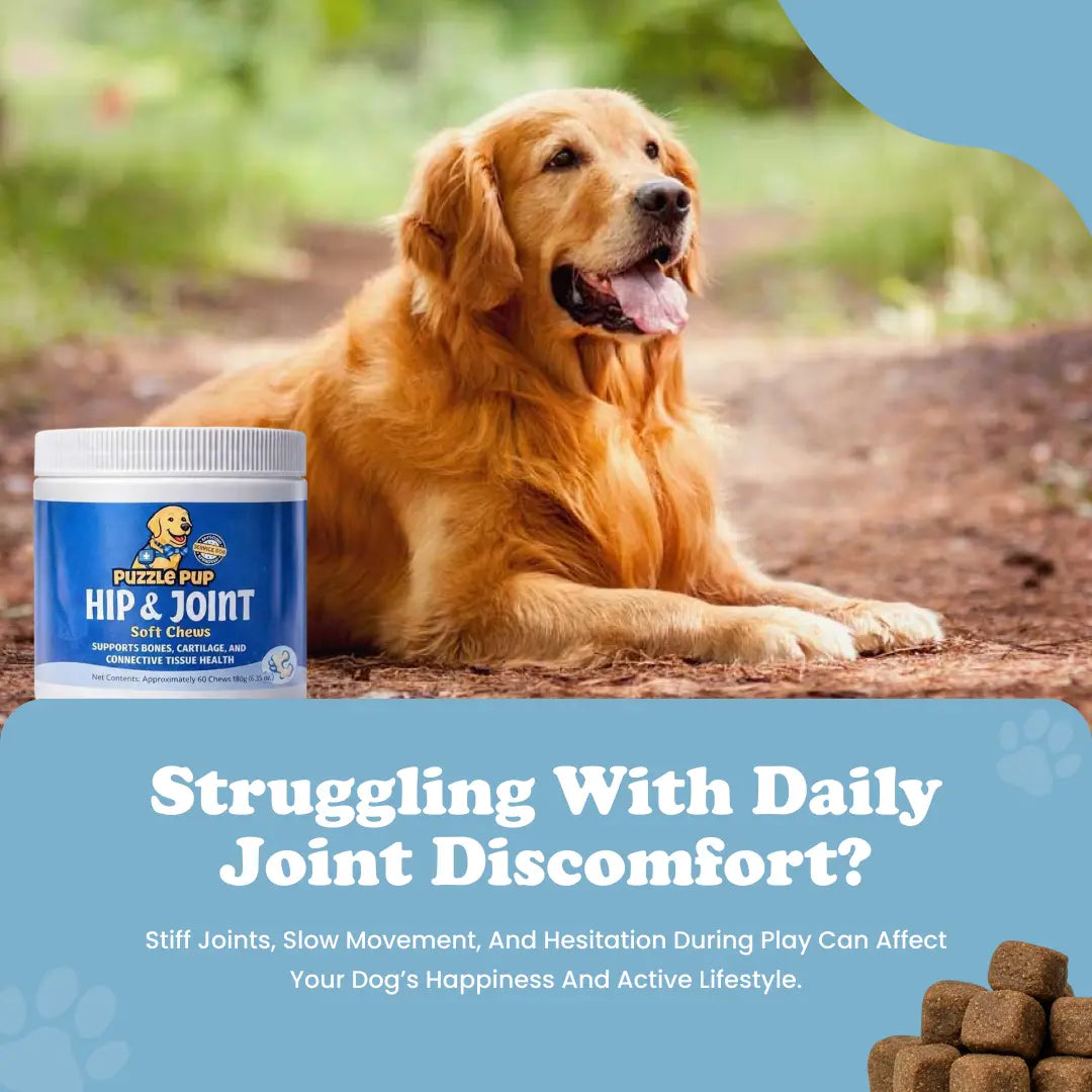 Dog Hip and Joint Chews. Enhanced Dog Health and Mobility.