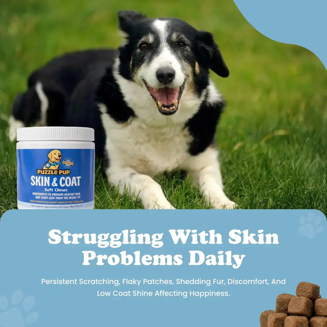 PuzzlePup Skin & Coat Soft Chews.