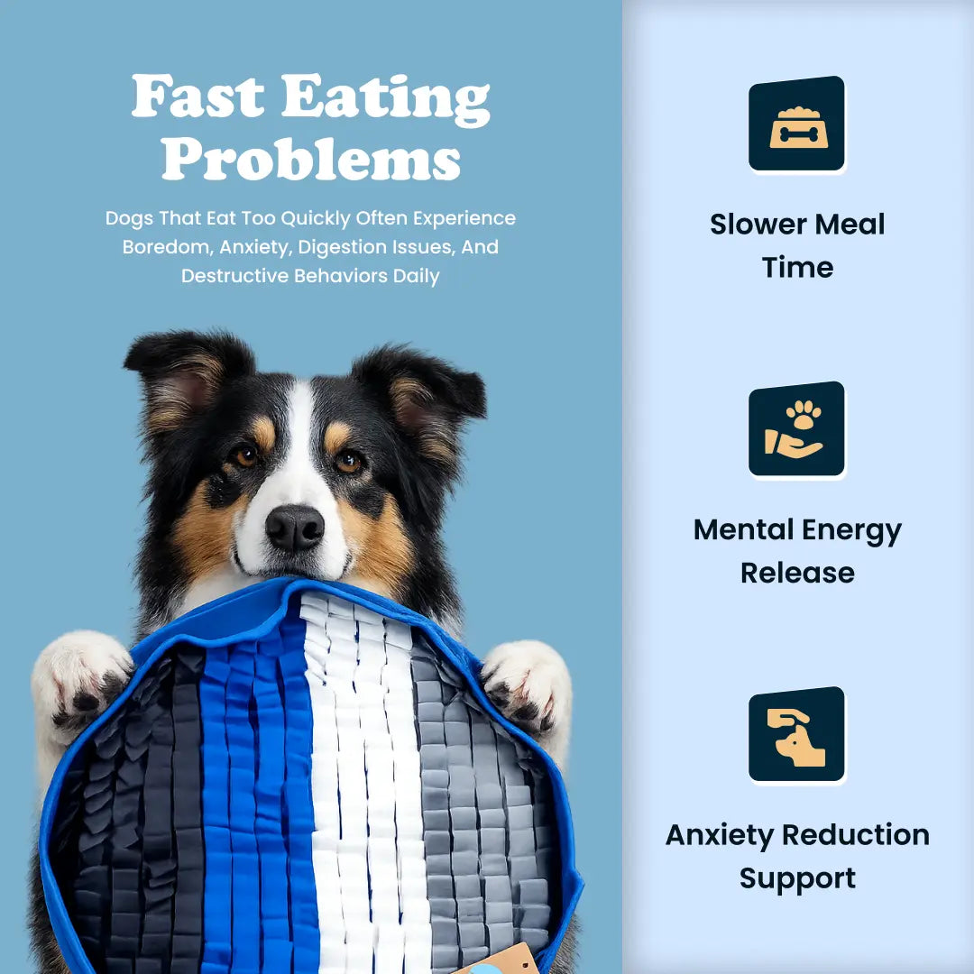 Smart Snuffle Mat for Dogs - Engage Your Pet's Senses and Stimulate Their Mind.