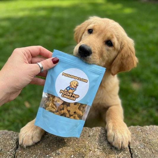 Golden retriever puppy with a pouch of PuzzlePup handmade pumpkin peanut butter dog cookies